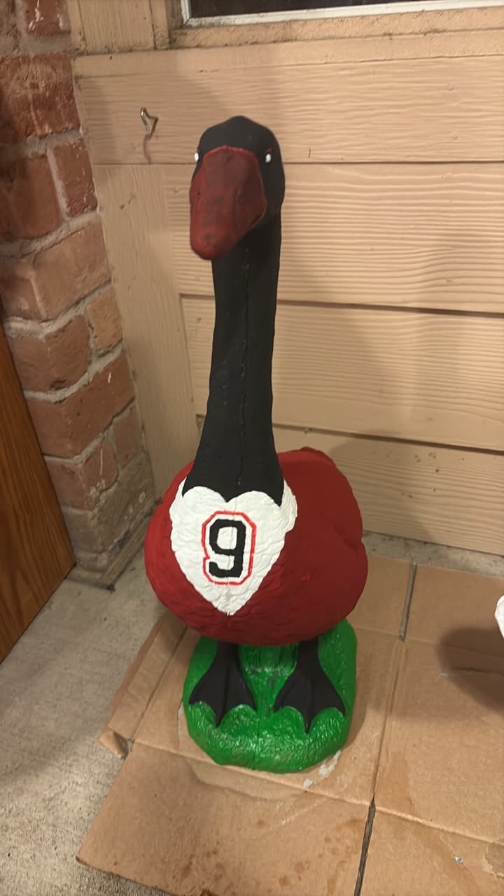 Custom goose