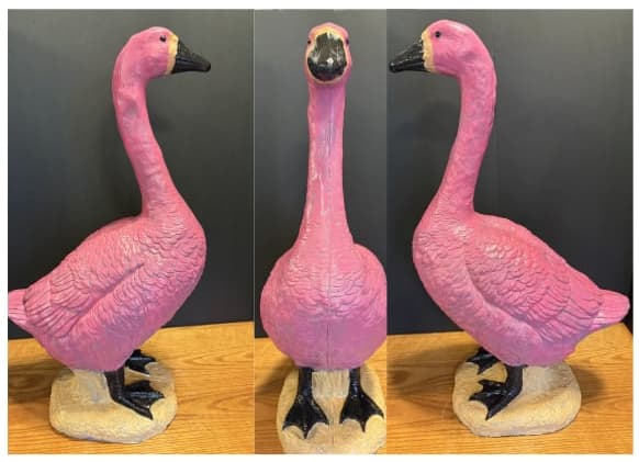 Flamingoose
