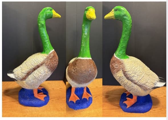 Mallard Goose