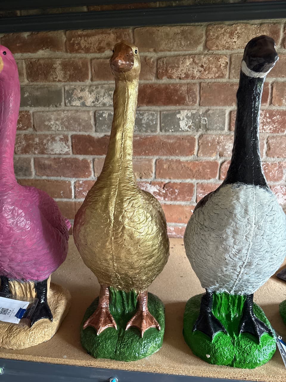 Golden Goose