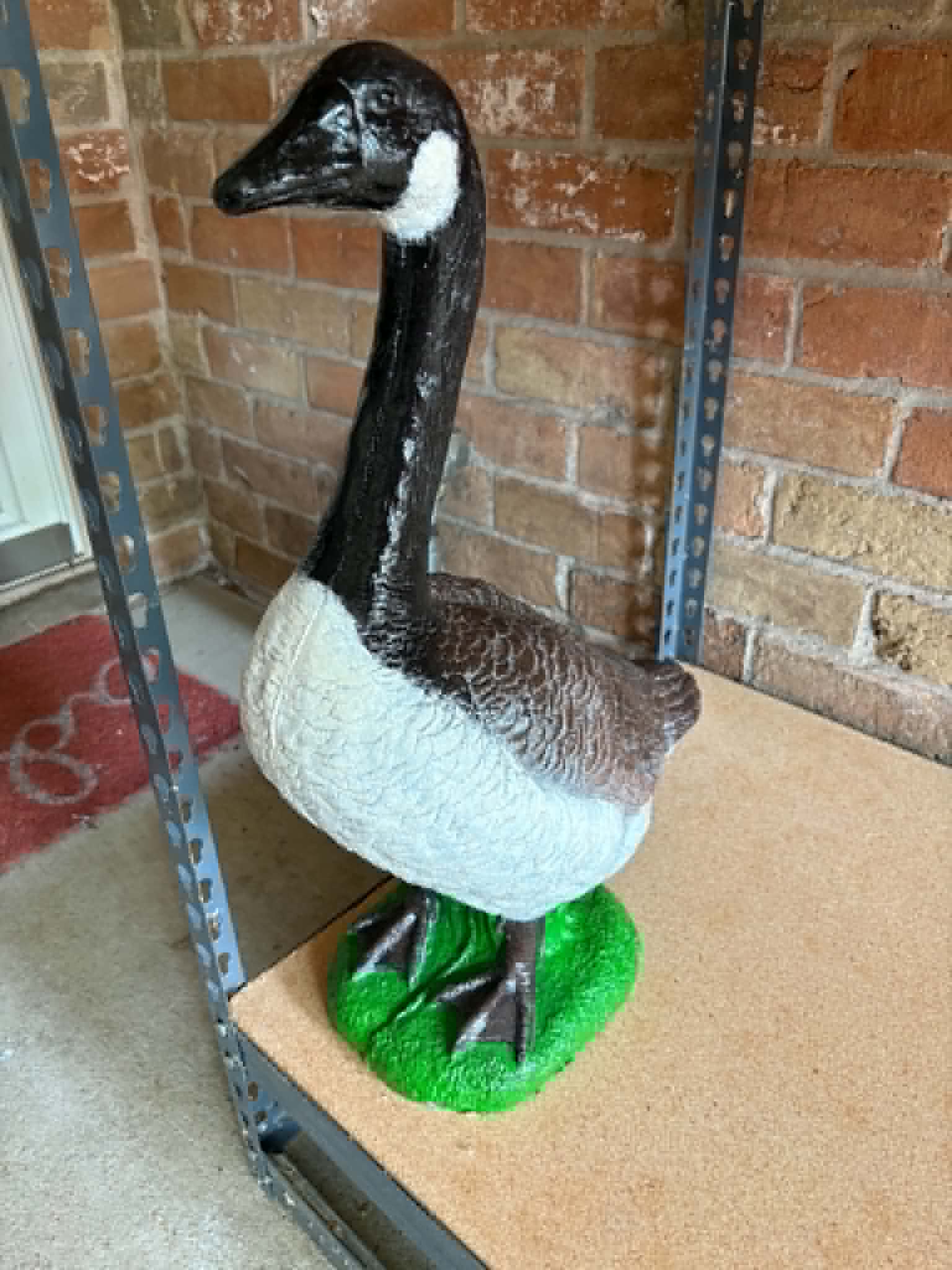 Canadian Goose