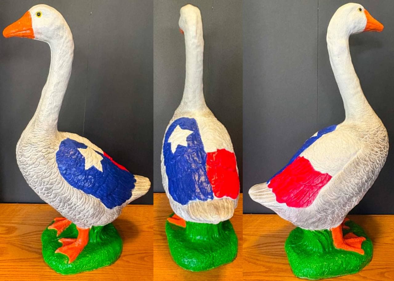 Texas Goose